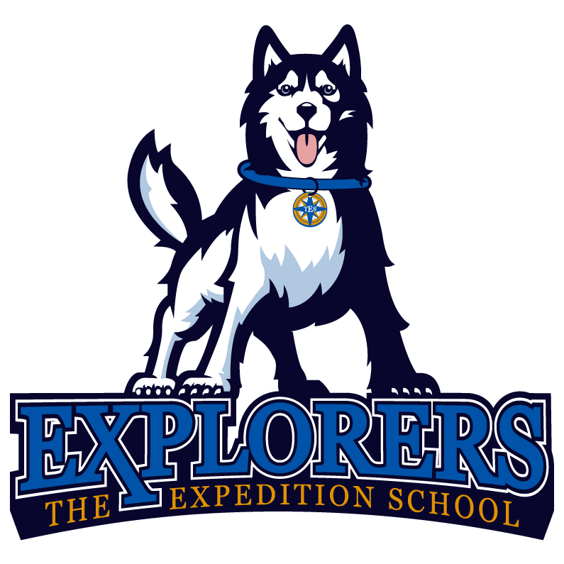 TES Husky Hoodie